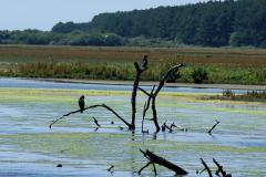 BaieDeSomme