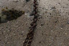 Chain