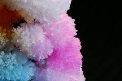 CrystalTree